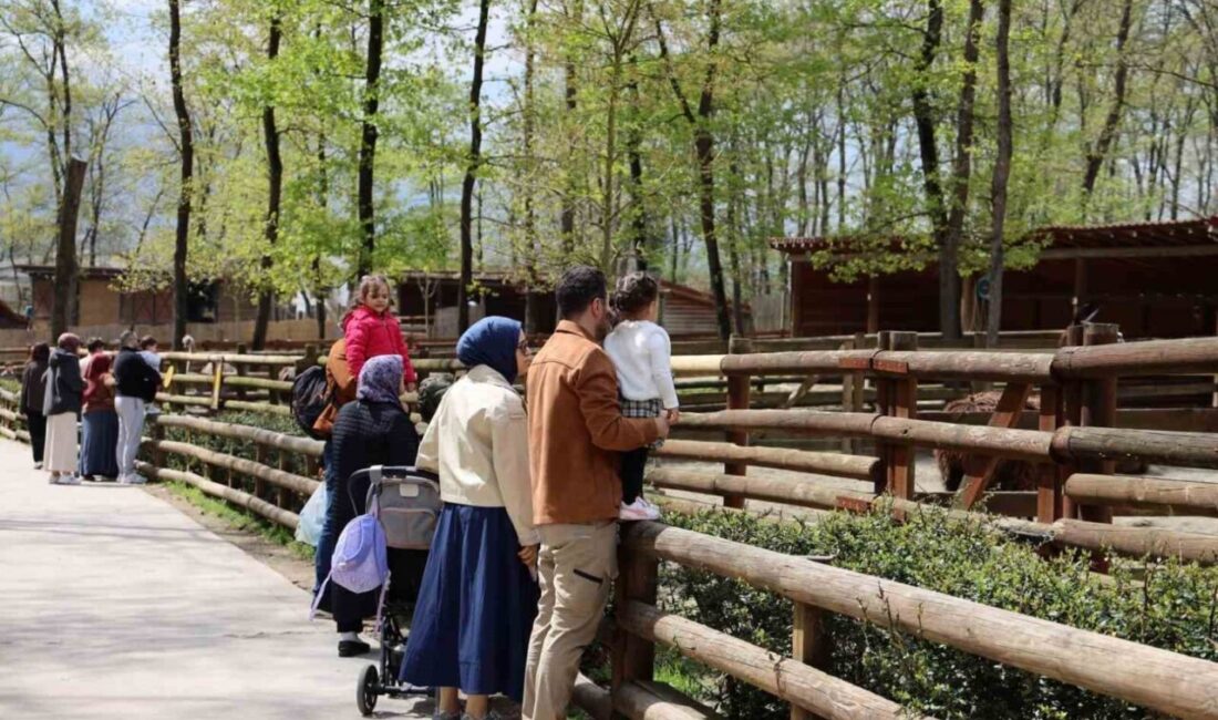 Kocaeli Büyükşehir Belediyesine bağlı olarak hizmet veren Avrupa’nın en büyük