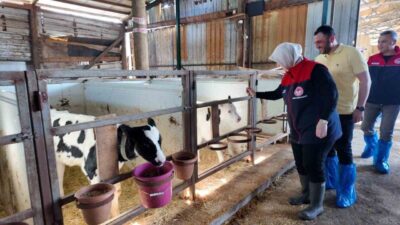 Düzce İl Tarım ve Orman Müdürlüğü tarafından hayvan sağlığının korunması,