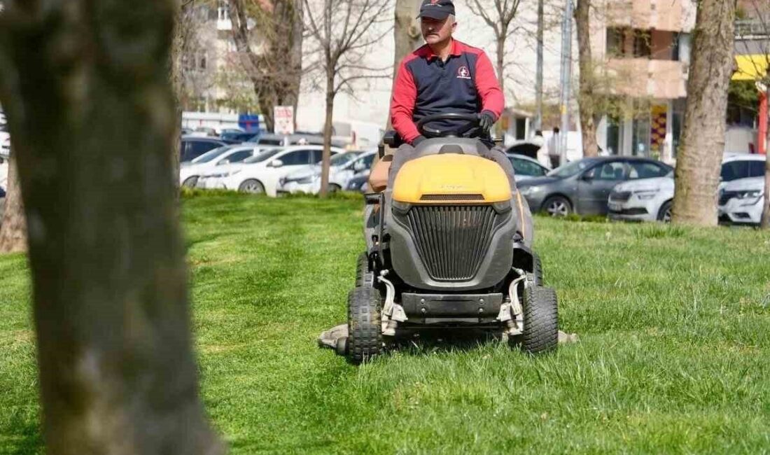 DÜZCE (İHA) – Düzce Belediyesi Park ve Bahçeler Müdürlüğü ekipleri,