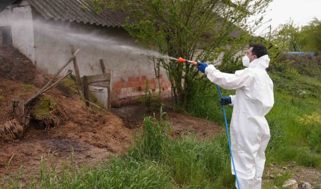 Düzce Belediyesi, 12 ay boyunca sürdürdüğü vektörle mücadele çalışmalarını 4