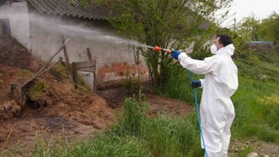 Düzce Belediyesi, 12 ay boyunca sürdürdüğü vektörle mücadele çalışmalarını 4