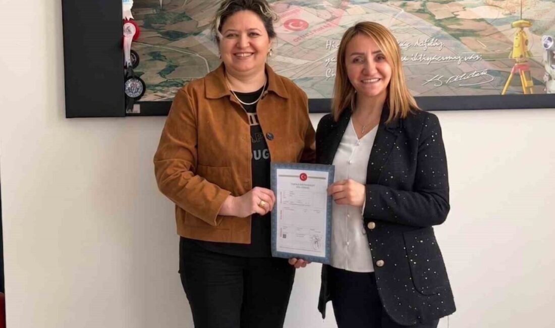 Bilecik’in Pazaryeri ilçesinde eski hükümet konağı sosyal yaşam alanına dönüşüyor.