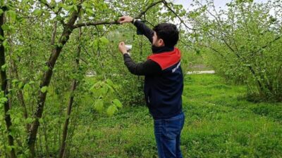 Düzce İl Tarım ve Orman Müdürlüğü tarafından, 2026 yılı üretim
