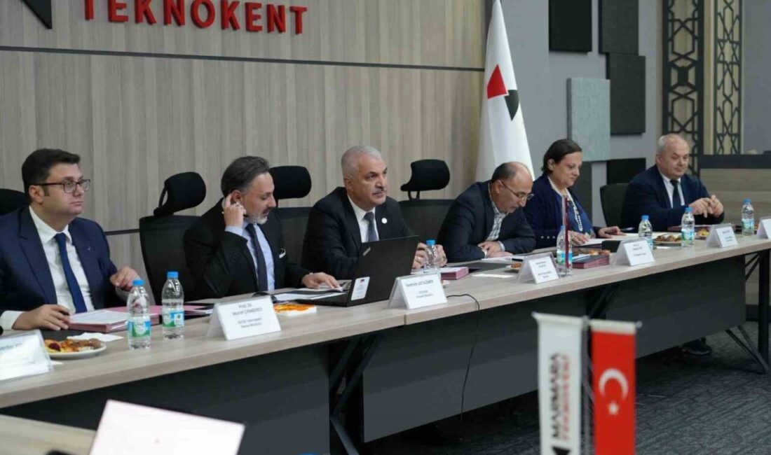 KOSGEB Girişimci Destek Programı kapsamında yer alan “İş Geliştirme Desteği”