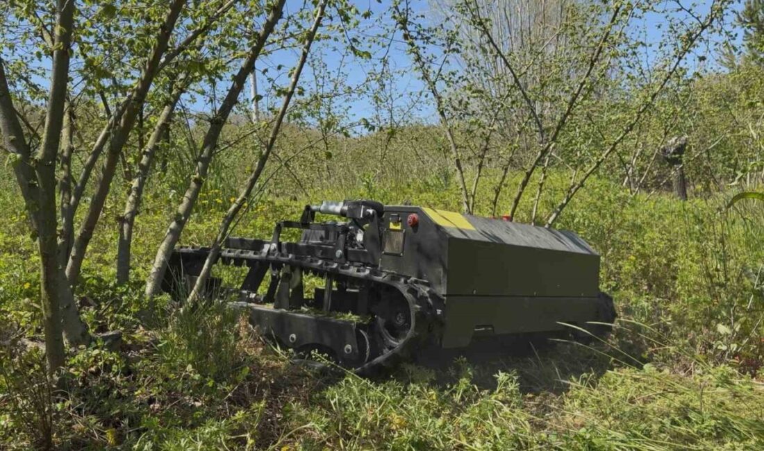 Sakarya’nın Kaynarca ilçesinde makine mühendisliği mezunu genç, fındık bahçelerindeki yabani