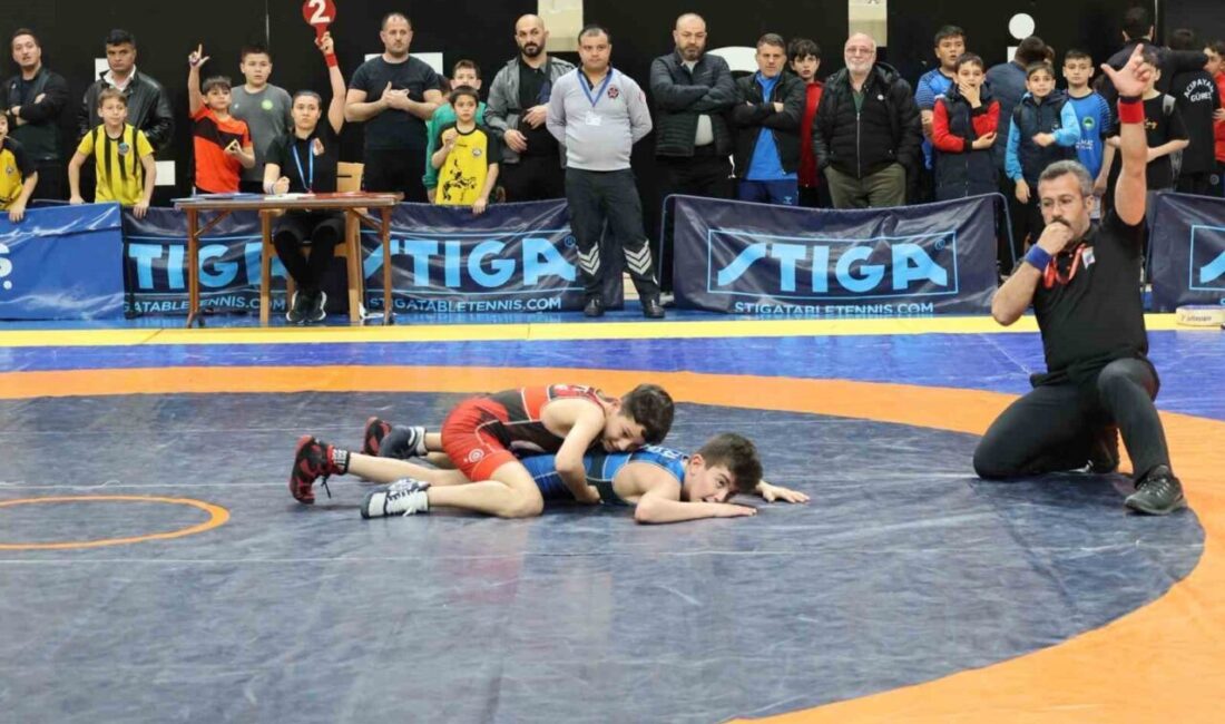 Bilecik’te grup müsabakalarında derece elde eden sporcular, Türkiye Güreş Şampiyonası’nda