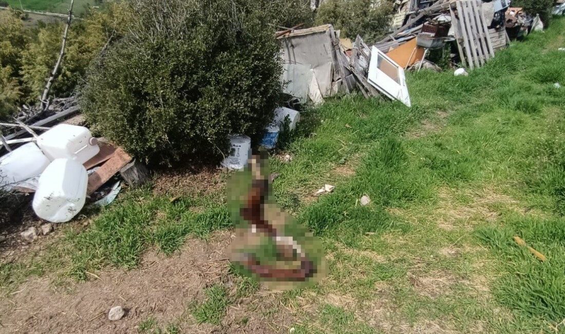 Bilecik’te ihbar üzerine kamuya ait izinsiz kullanılan bir arazide inceleme