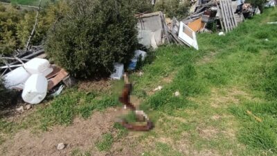 Bilecik’te ihbar üzerine kamuya ait izinsiz kullanılan bir arazide inceleme