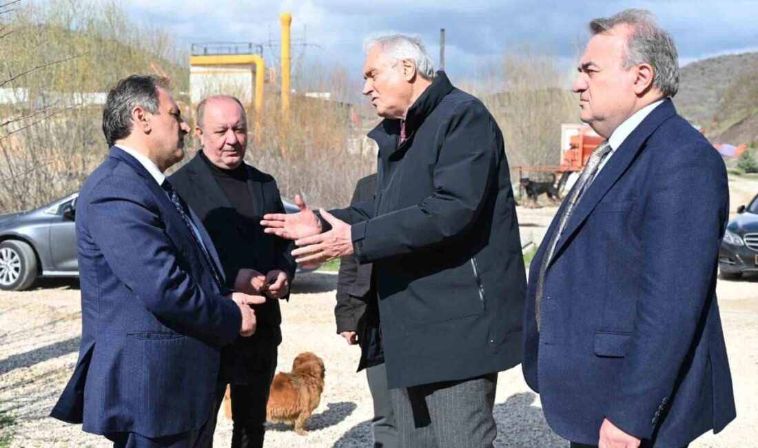 Bilecik’in Bozüyük ilçesindeki Doğal Yaşam Alanı’nda aç kalan köpeklerin birbirlerini