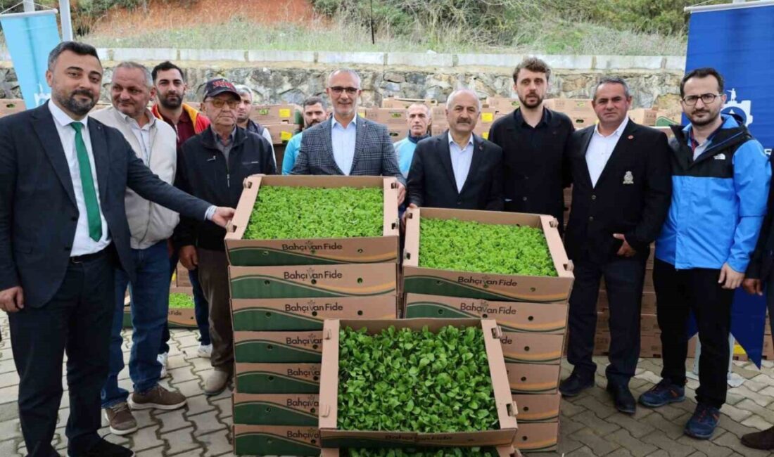 Kocaeli’de “TAKE Projesi” ile işlenmeyen tarım arazileri üretime kazandırılıyor, çiftçilere