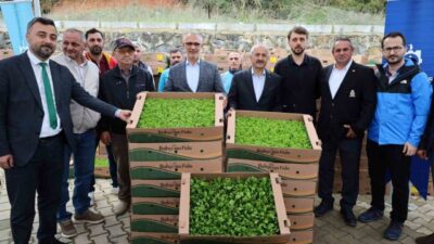 Kocaeli’de “TAKE Projesi” ile işlenmeyen tarım arazileri üretime kazandırılıyor, çiftçilere