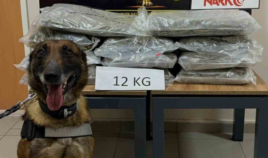 DÜZCE(İHA) – İstanbul’dan Ankara’ya uyuşturucu madde taşıdığı tespit edilen bir