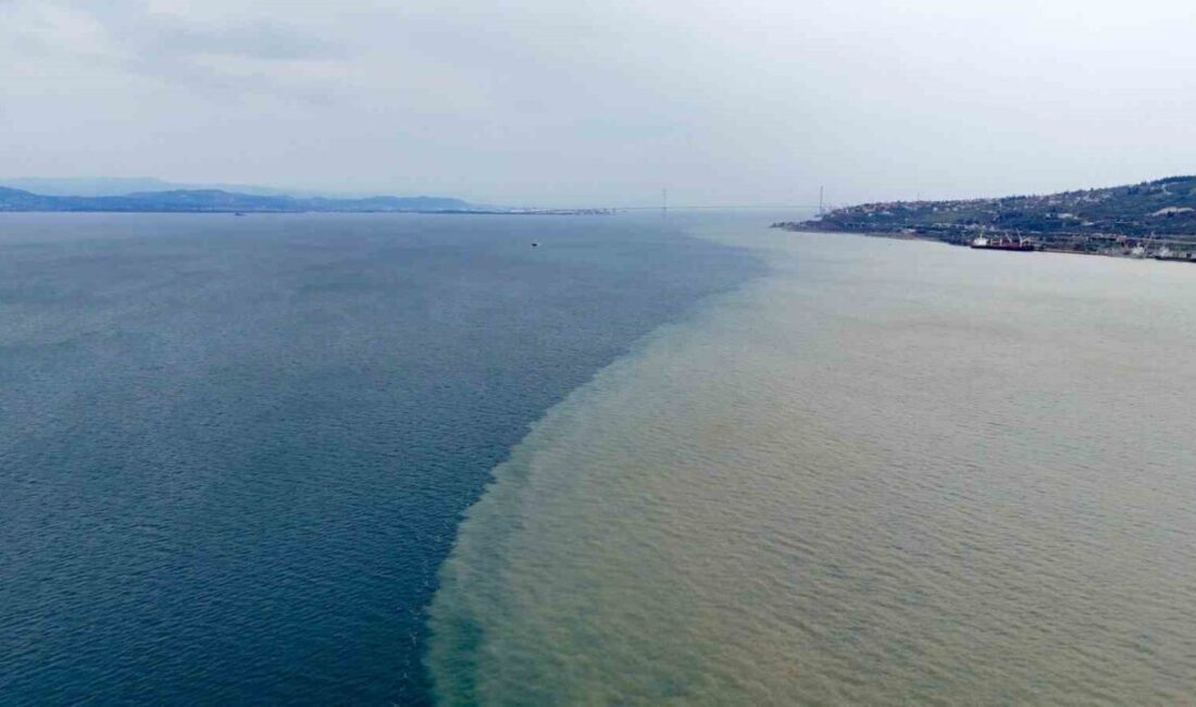 Kocaeli’nin Körfez ilçesinde etkili olan sağanağın ardından derelerden İzmit Körfezi’ne