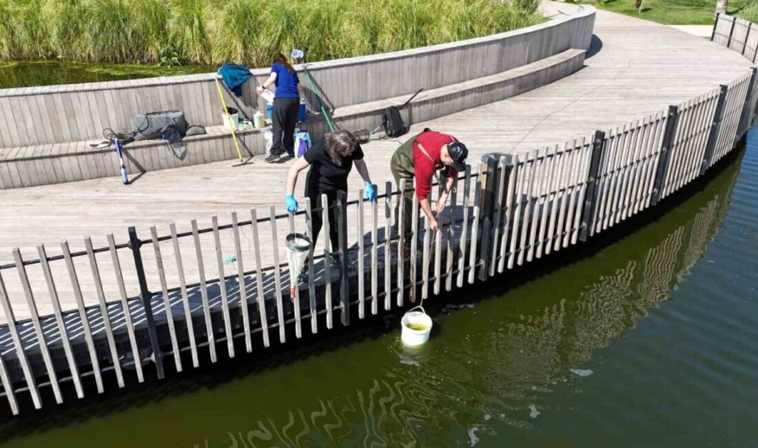 İzmit Millet Bahçesi’ndeki gölette su kalitesini artırmak ve ekosistemi güçlendirmek