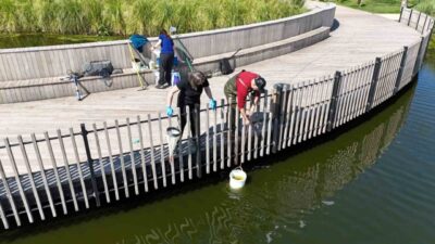İzmit Millet Bahçesi’ndeki gölette su kalitesini artırmak ve ekosistemi güçlendirmek