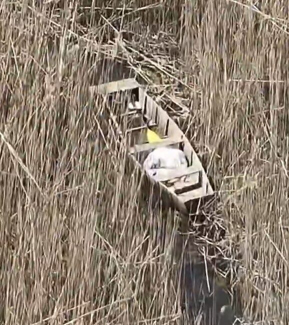 DÜZCE (İHA) – Düzce’deki Efteni Gölü’nde dron destekli denetim yapan