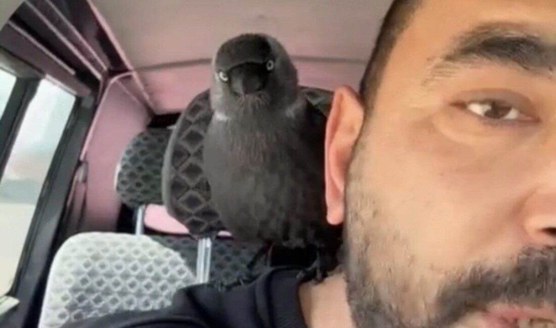 Düzce’de seyir halindeki otomobilin sileceğine, ardından da açık camdan içeri