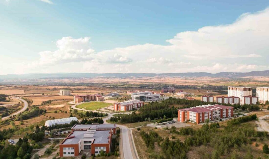 Kastamonu Üniversitesi, Times Higher Education (THE) tarafından yayımlanan 2026 Asya