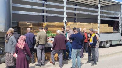 Kastamonu’nun İnebolu ilçesinde çiftçilere 147 bin adet sebze fidesi dağıtıldı.