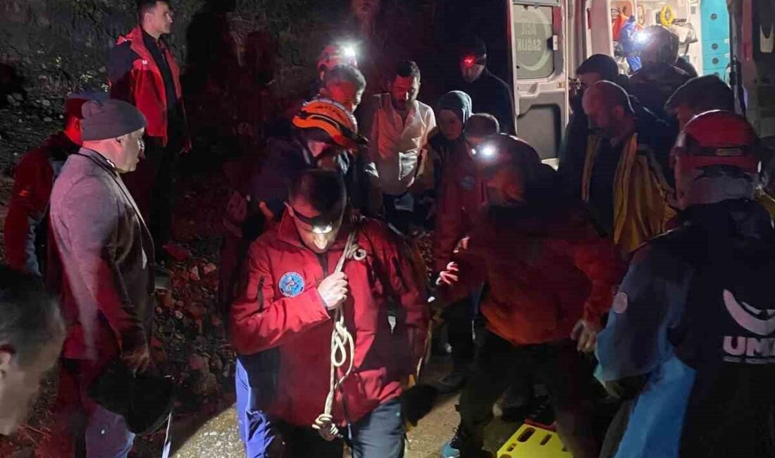 Kastamonu’nun Küre ilçesinde dağlık alanda dolaştığı sırada dengesini kaybederek uçuruma