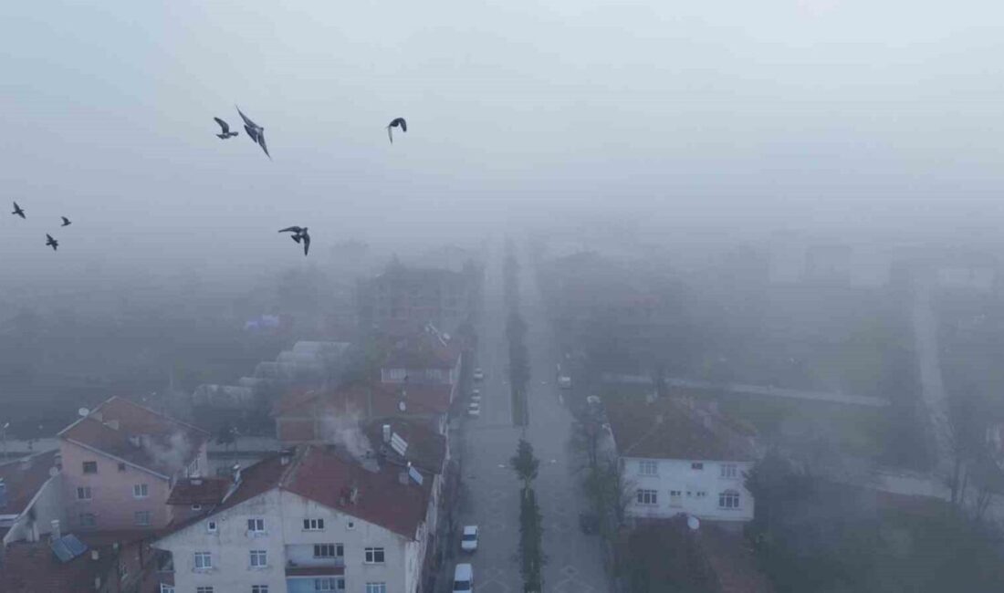 Kastamonu’nun İhsangazi ilçesinde sabah saatlerinden itibaren etkisini arttıran yoğun sis,