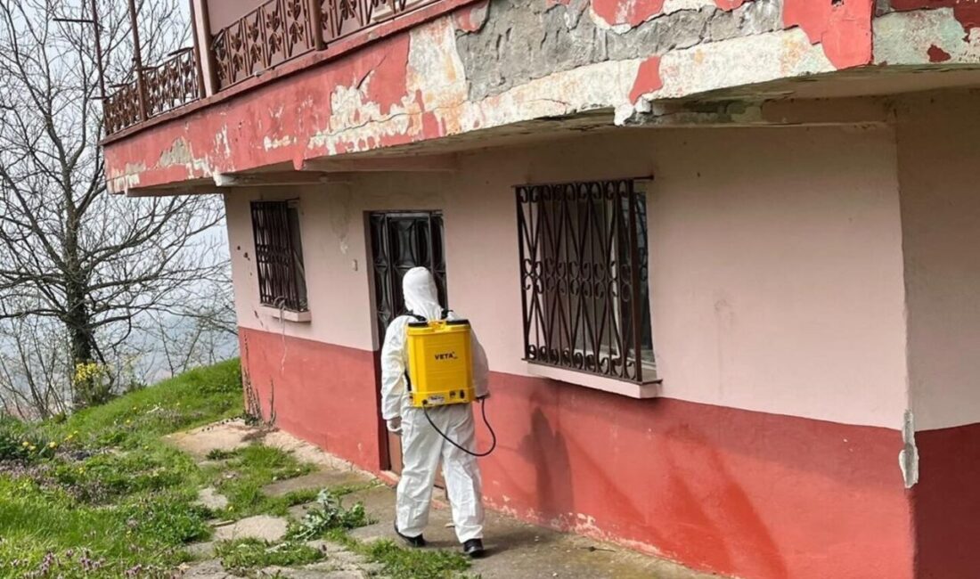 DÜZCE(İHA) – Düzce’de kışlak kahverengi kokarcasına yönelik kışlak alanlarda ilaçlama