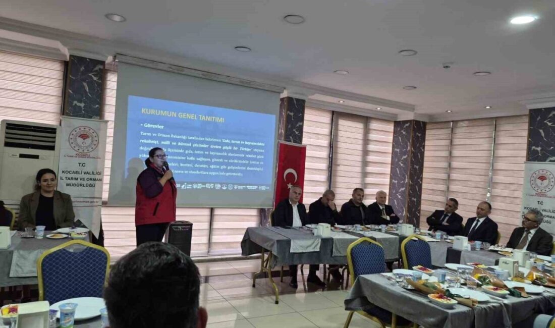 Kocaeli’de başlatılan projeyle kuruluşlarda kalan lise çağındaki kız öğrenciler; tarım,