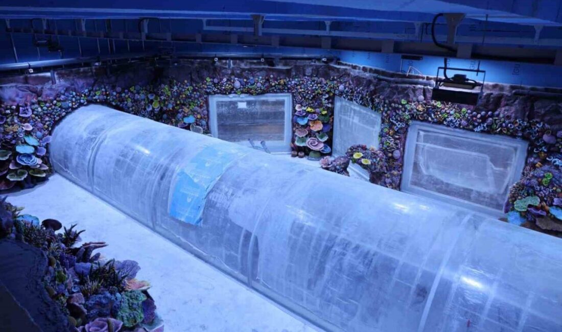 Kocaeli’ye kazandırılacak “Akvaryum Projesi”nde geri sayım başladı. Türkiye’de ilk olacak