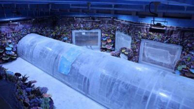 Kocaeli’ye kazandırılacak “Akvaryum Projesi”nde geri sayım başladı. Türkiye’de ilk olacak