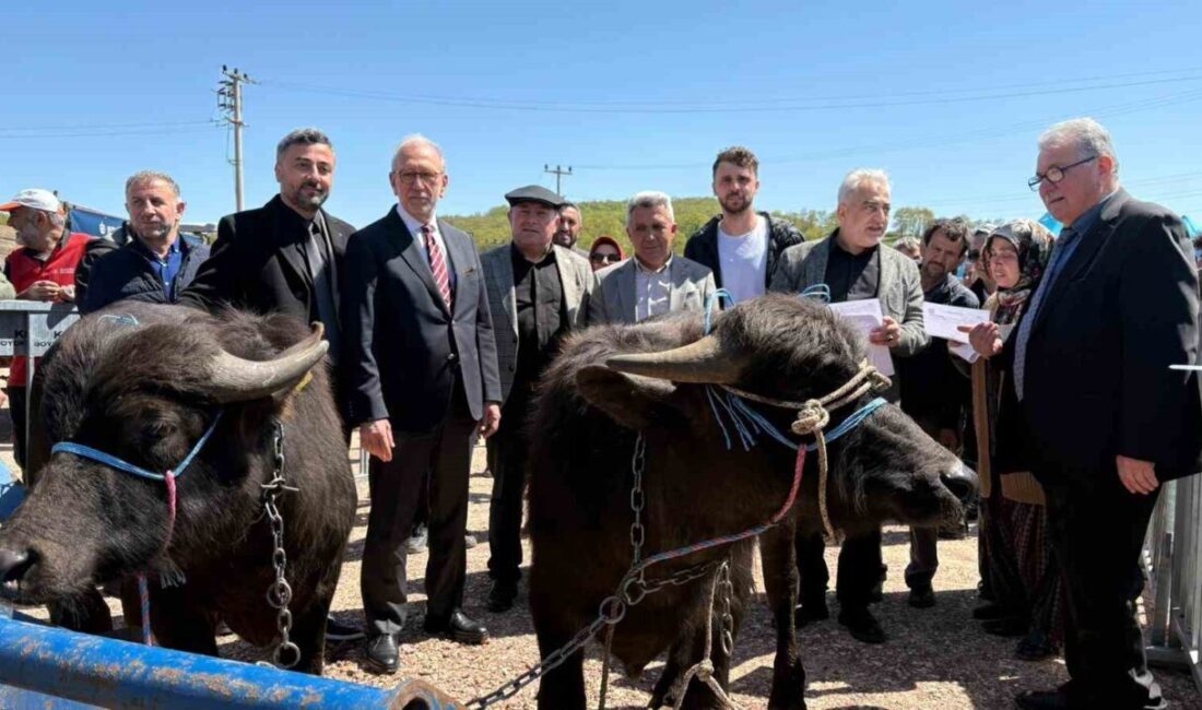 Kocaeli’de “Halk Elinde Anadolu Mandasının Islahı Projesi” ile üreticilere bugüne