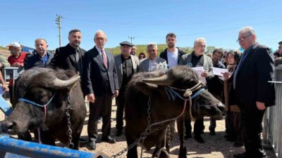 Kocaeli’de “Halk Elinde Anadolu Mandasının Islahı Projesi” ile üreticilere bugüne