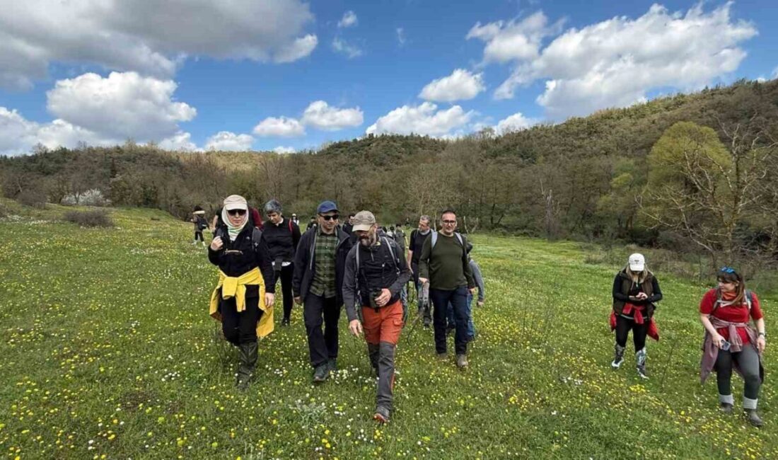 Gebze’de Ballıkayalar Tabiat Parkı’nda doğa tutkunları ve araştırmacılar, yaklaşık 10