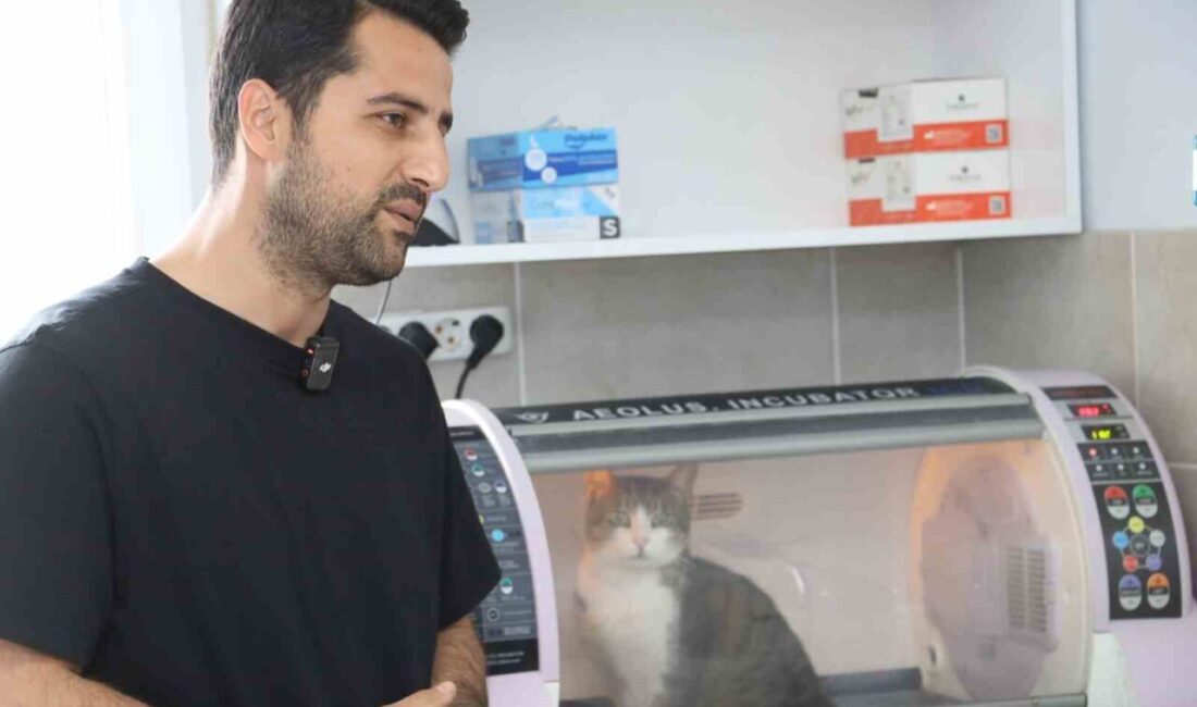 Kocaeli’nin Körfez ilçesinde diyafram fıtığı nedeniyle nefes almakta güçlük çeken