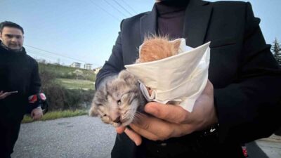 Düzce’de kanala düşen iki yavru kedi çevrede bulunan küçük kız