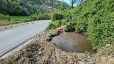 Kocaeli’nin Gölcük ilçesinde Kurban Bayramı öncesi denetimlerini sıklaştıran ekipler, hayvansal