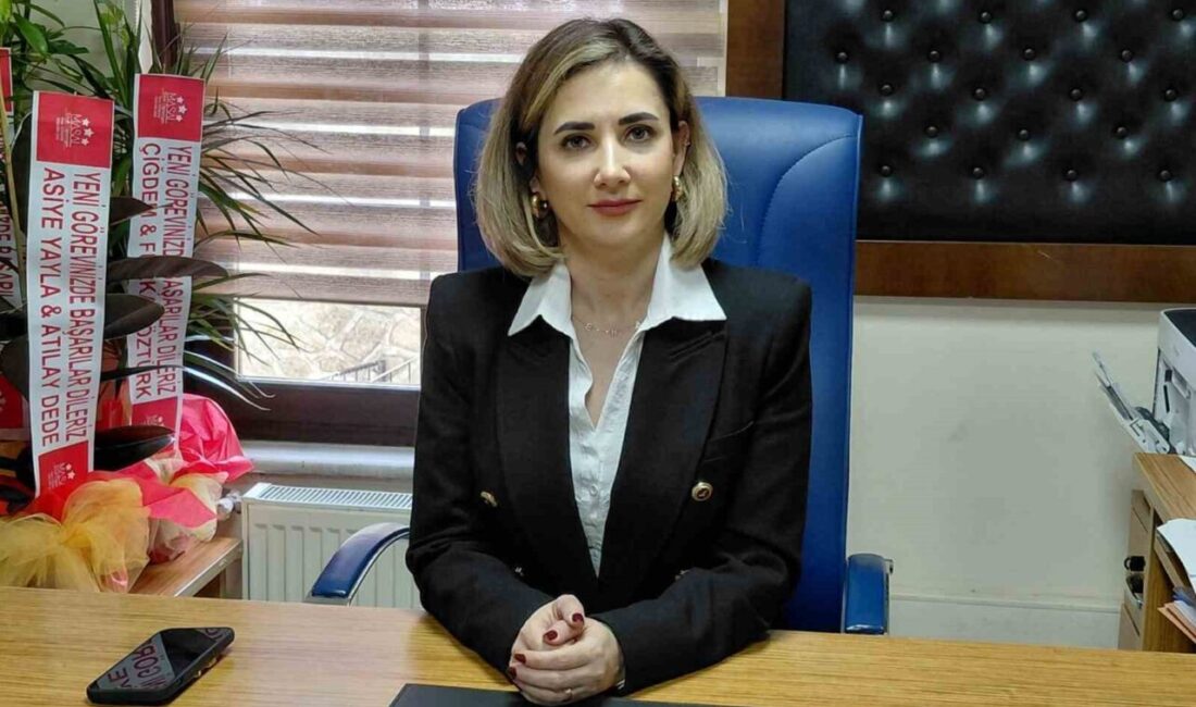 Bolu’nun Mudurnu ilçesinde, Raşit Kılıç’ın ayrılmasıyla boşalan Tapu Müdürlüğü görevine