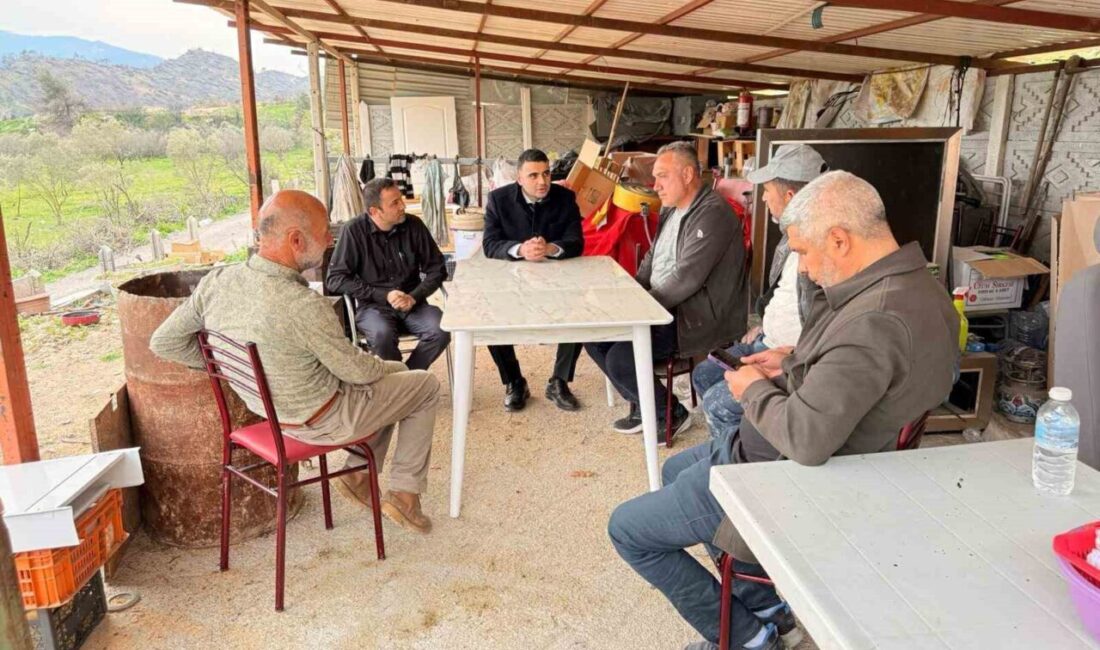 Bilecik’in Osmaneli ilçesinde yangınlarından etkilenen vatandaşların geçici barınma alanları incelendi.