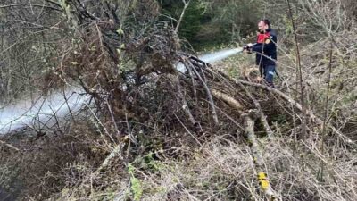 Kastamonu’nun Cide ilçesinde ormanlık alanda çıkan yangın itfaiye ekiplerinin hızlı