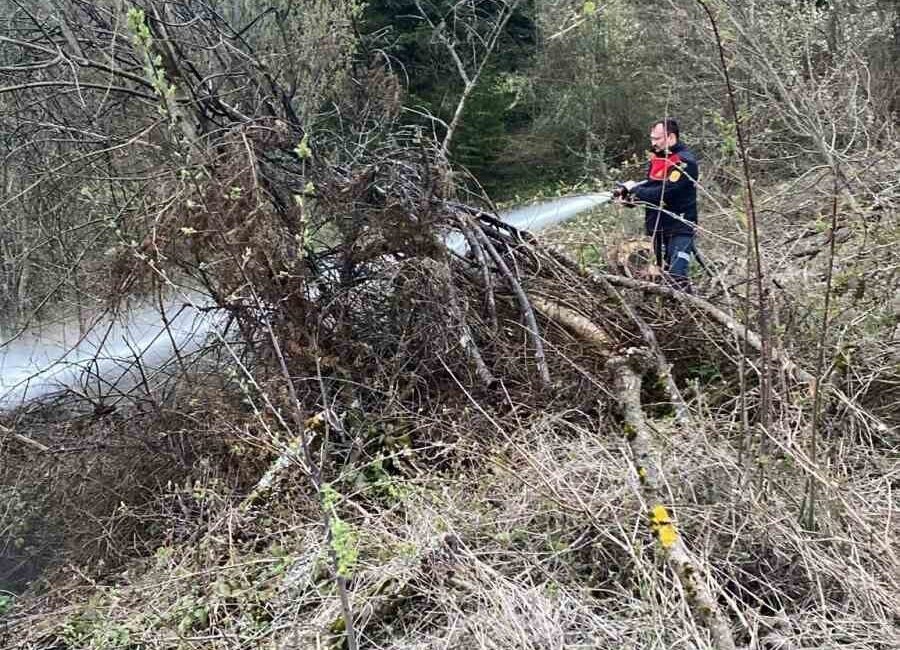 Kastamonu’nun Cide ilçesinde ormanlık alanda çıkan yangın itfaiye ekiplerinin hızlı