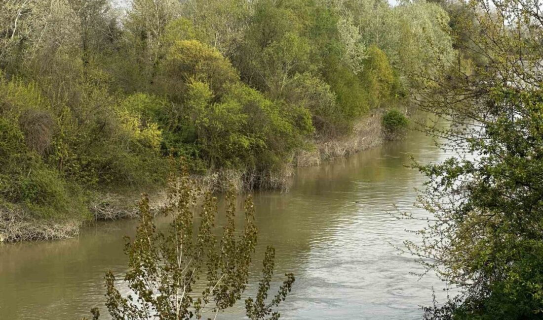 Sakarya’nın Erenler ilçesinde balık tuttuğu esnada dengesini kaybederek Sakarya Nehri’ne