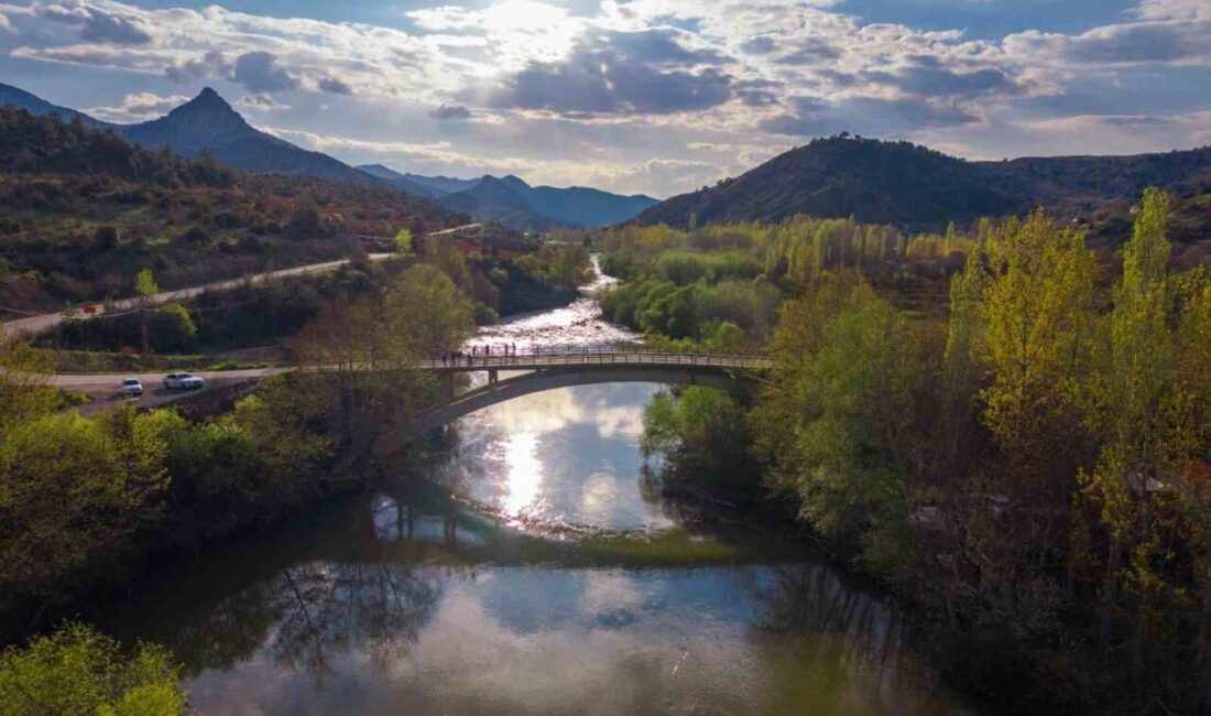 Bilecik’in Çayköy Mahallesi’nden geçen ve yağışlar sonrası debisi artan Sakarya