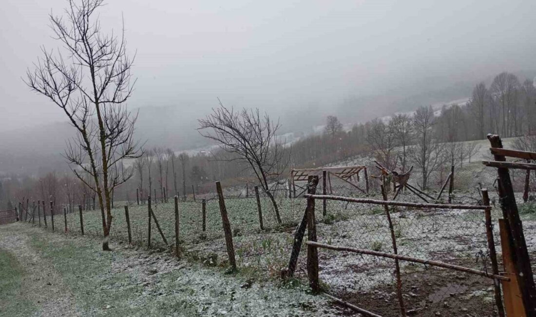 Sakarya’da soğuk hava etkisini artırdı. Kent merkezinde etkili olan yağmurun