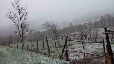 Sakarya’da soğuk hava etkisini artırdı. Kent merkezinde etkili olan yağmurun