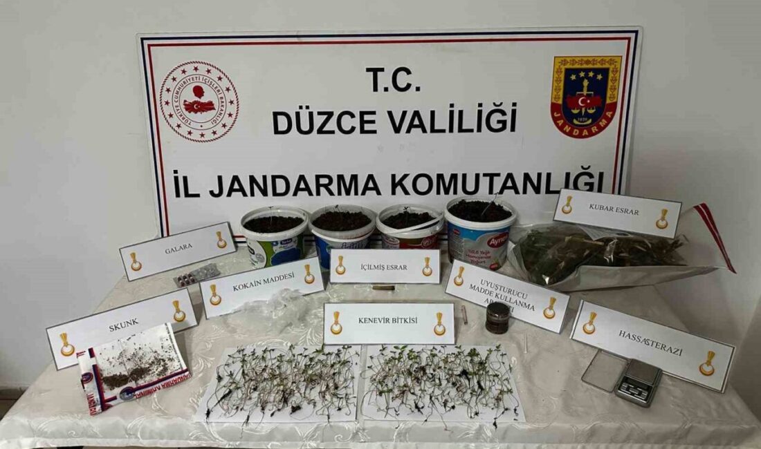 Düzce’de evinde saksı içerisinde kenevir bitkisi yetiştiren şahıs, düzenlenen baskınla