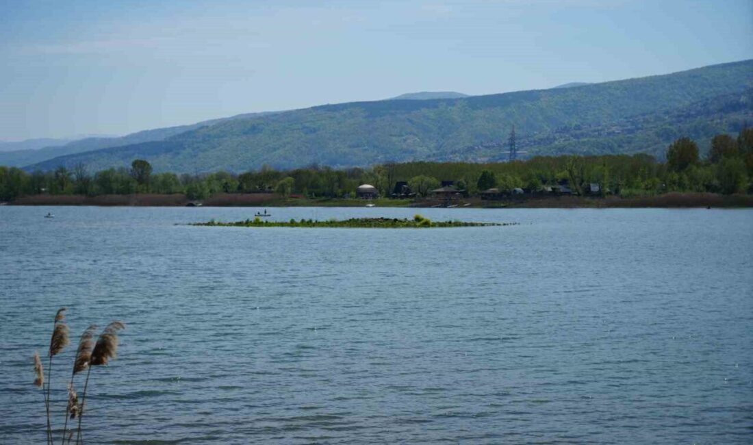 Sapanca Gölü’nde suların çekilmesiyle, yıllardır gölün altında kalan ve vatandaşların