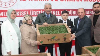 Düzce İl Tarım ve Orman Müdürlüğü tarafından, Tarım ve Orman
