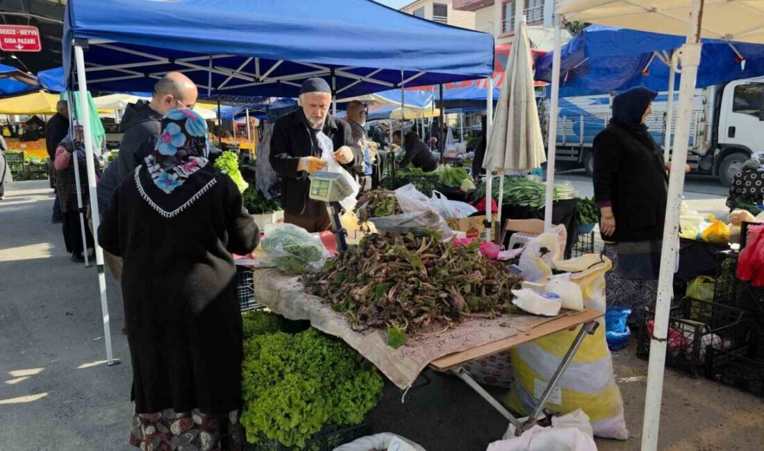 DÜZCE (İHA) – Düzce’nin yüksek kesimleri ve dik yamaçlarında bahar