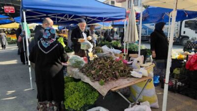 DÜZCE (İHA) – Düzce’nin yüksek kesimleri ve dik yamaçlarında bahar