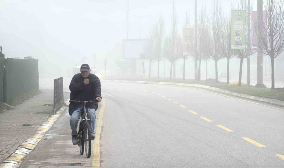 Sakarya’da etkili olan yoğun sis sebebiyle görüş mesafesi 10 metreye