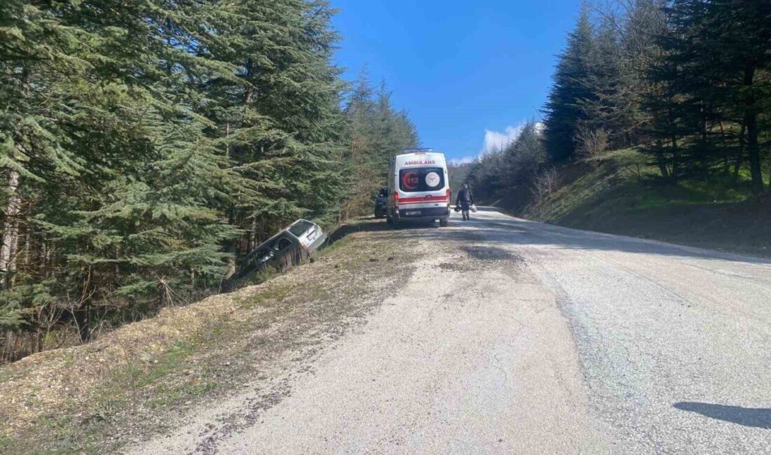 Bilecik’te direksiyon hâkimiyetini kaybeden sürücünün aracı ormanlık alana savruldu. Edinilen